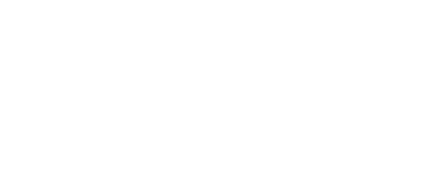 Leading Edge Aviation Logo